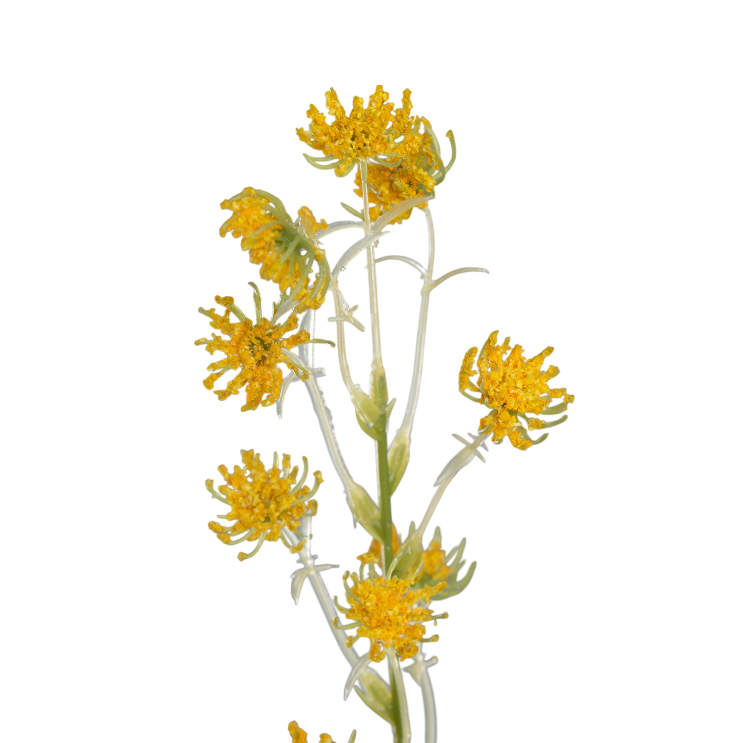 Anise Flower Stem 92cm
