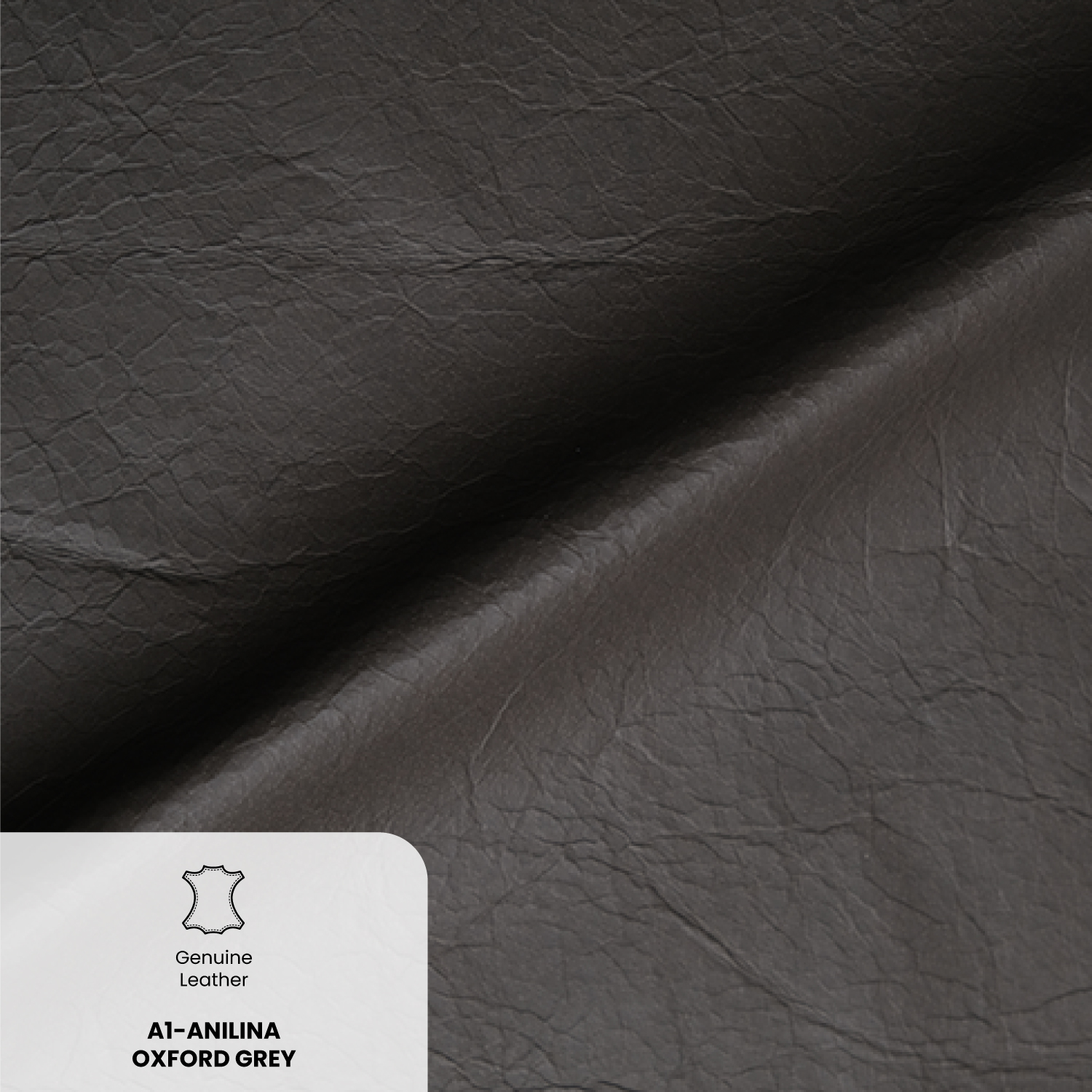 A1-Anilina Oxford Grey