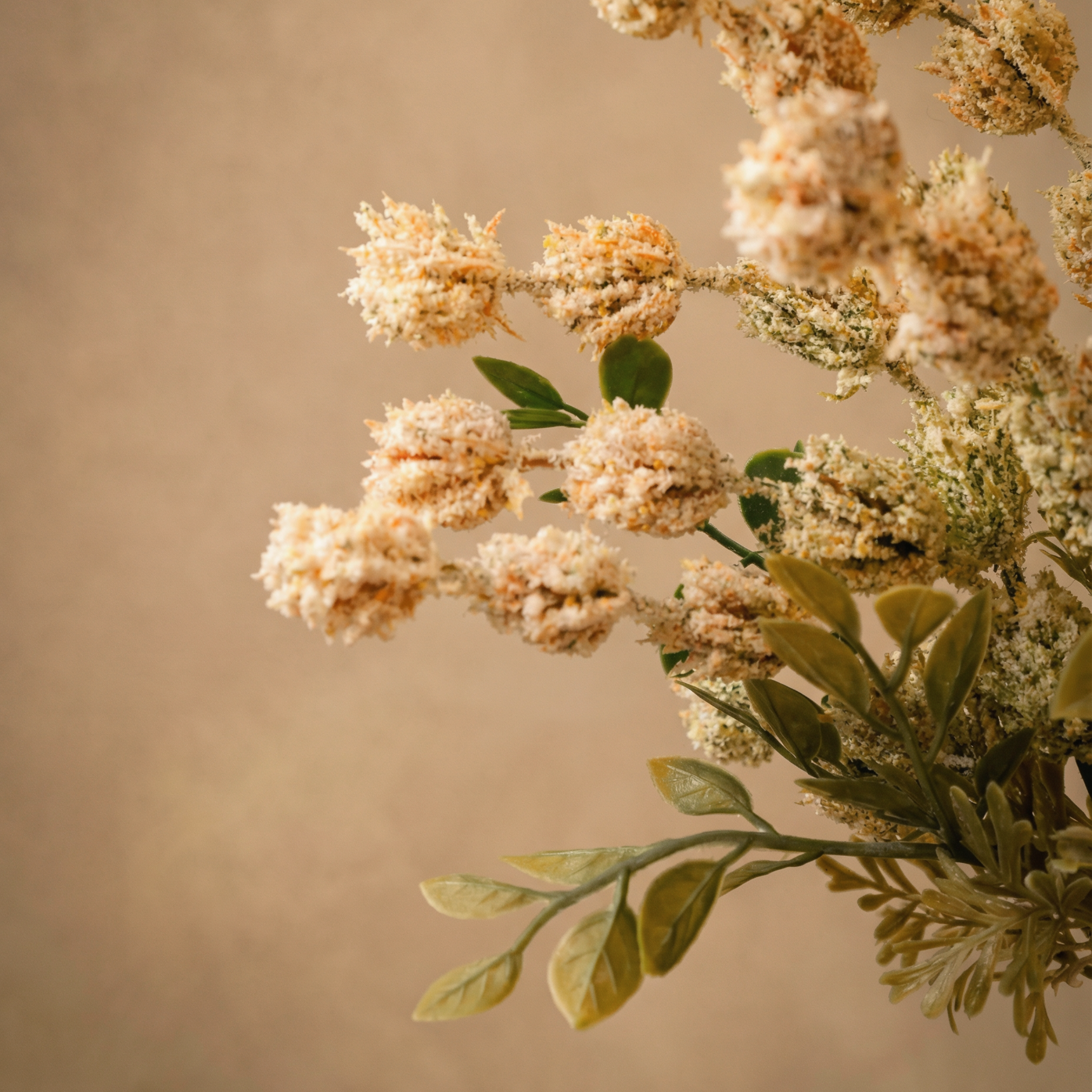 Pimelea Cream Flower Stem 33cm