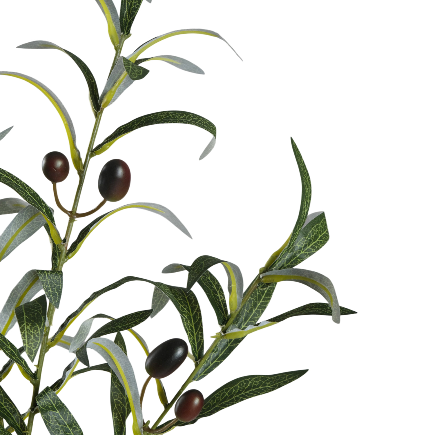 Olive Stem 77cm