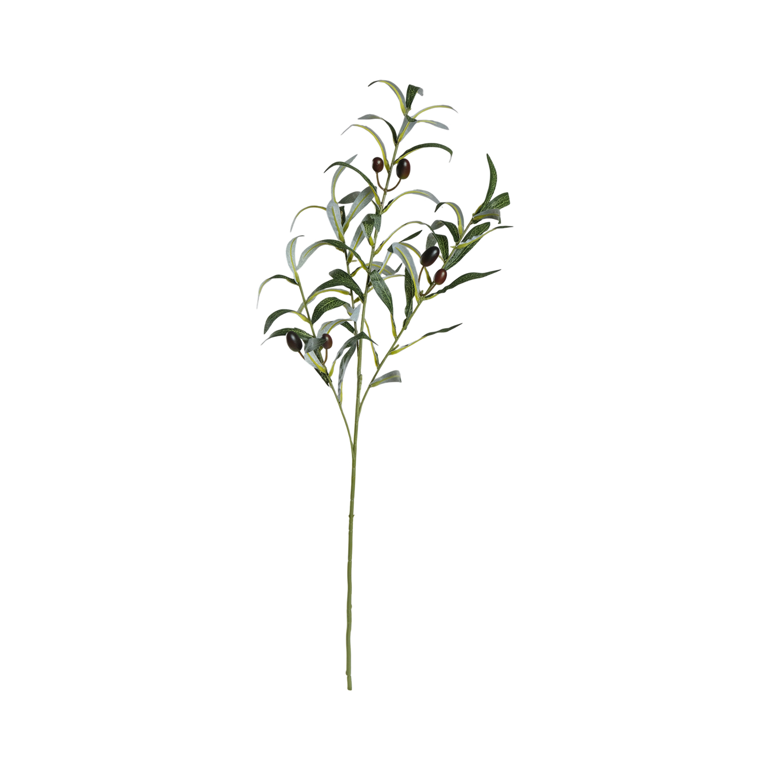 Olive Stem 77cm