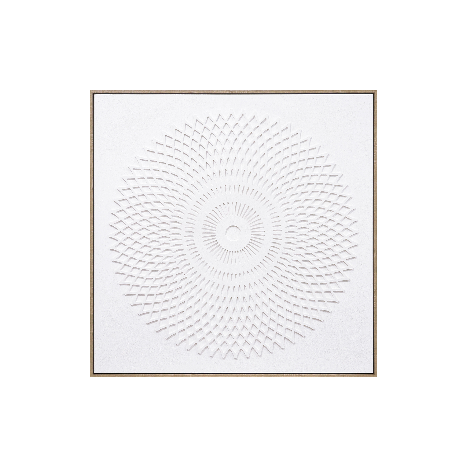Framed Canvas 100x100cm Board - Circular Wildflower