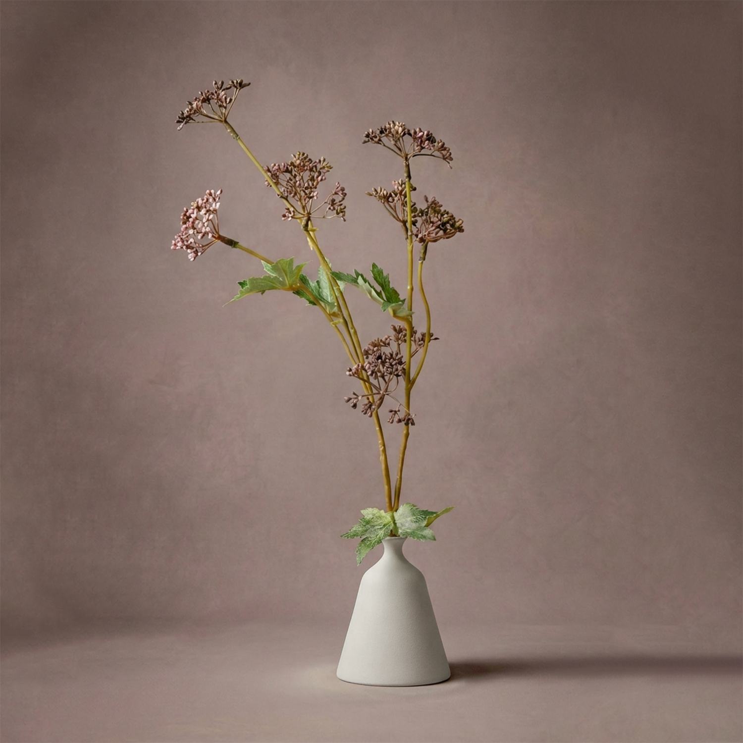 Valerian Dark Purple Flower Stem 55cm