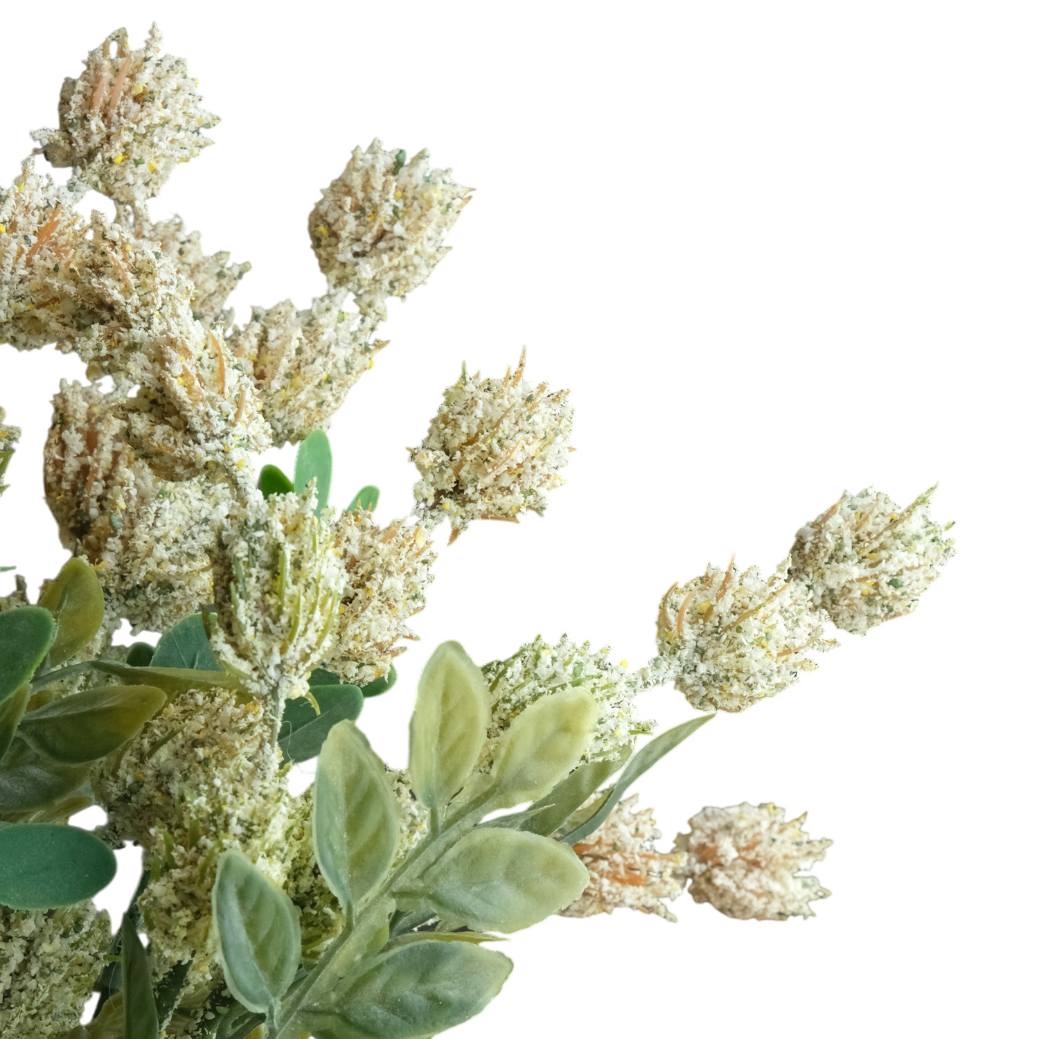 Pimelea Cream Flower Stem 33cm