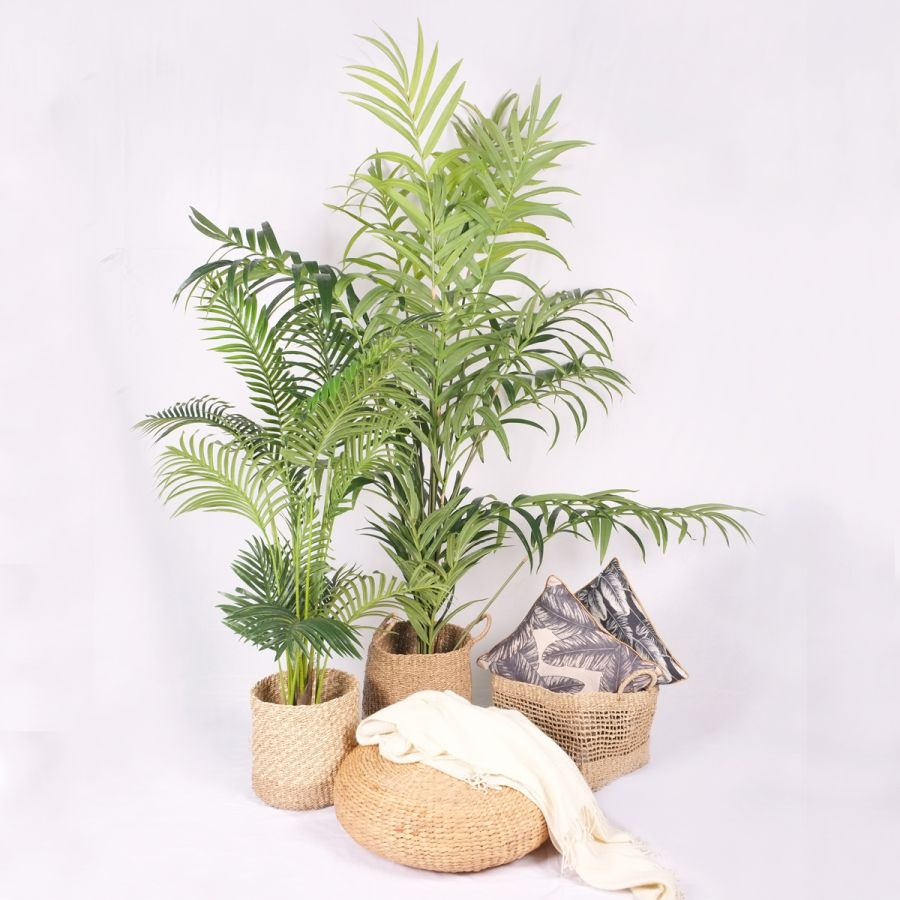Artificial Plants in the Kitchen