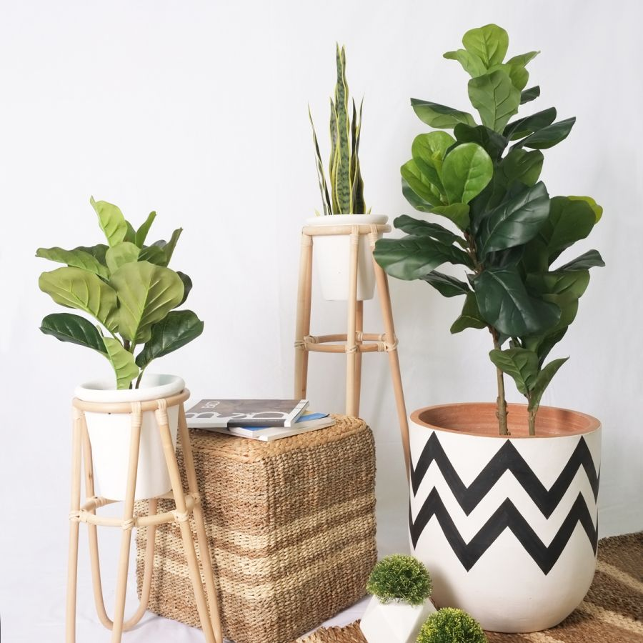 Artificial Plants in the Living Room
