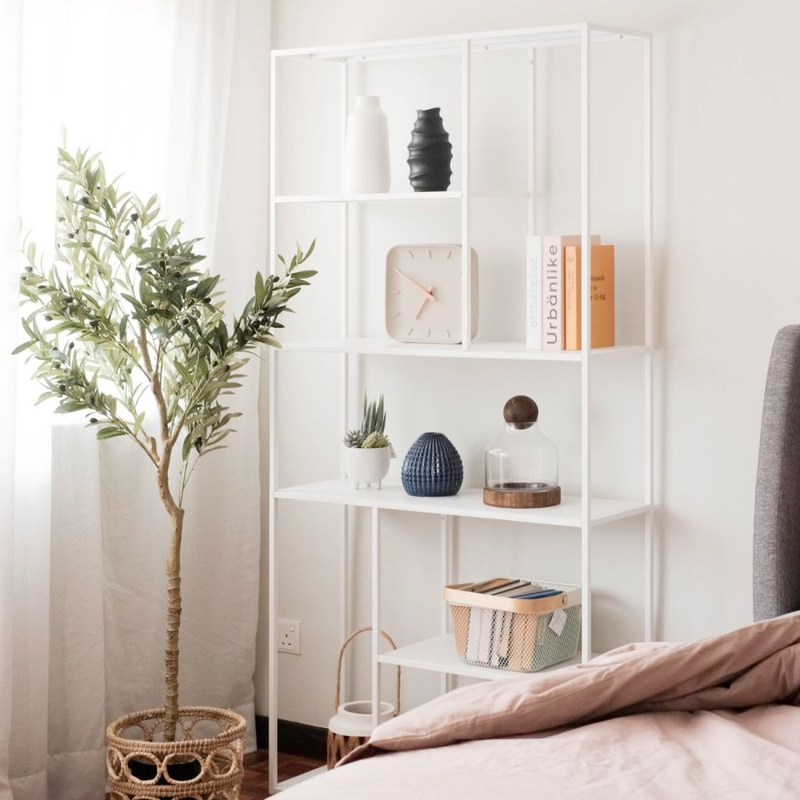 Bookcases Brings Vibrant And Vivid Environments