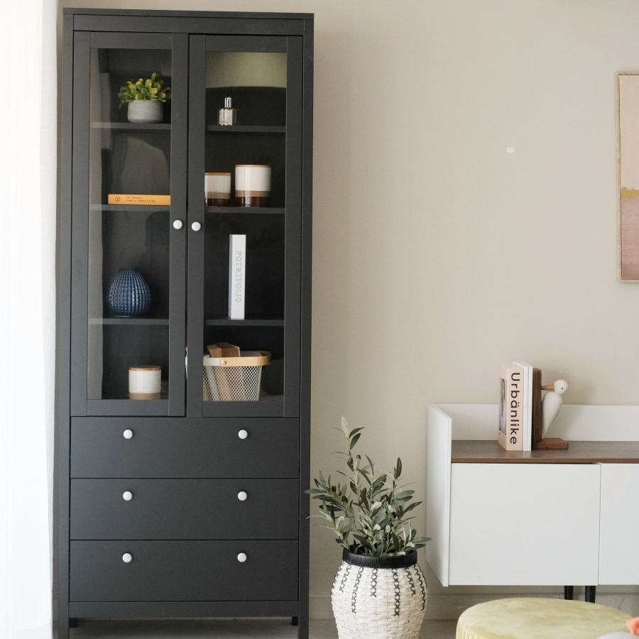 Dark and Enigmatic Bookcases