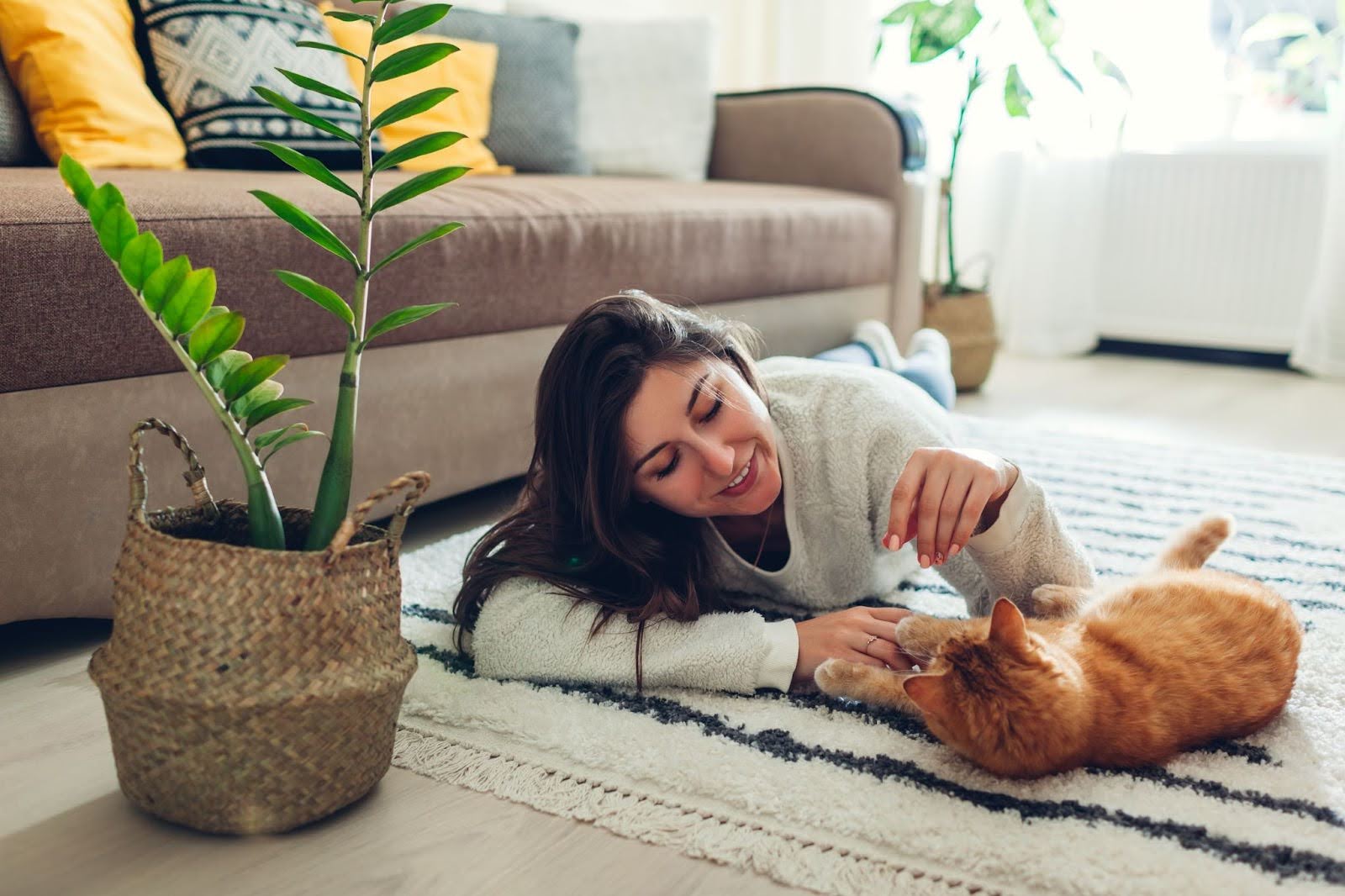 Having Rugs for Pet Owners