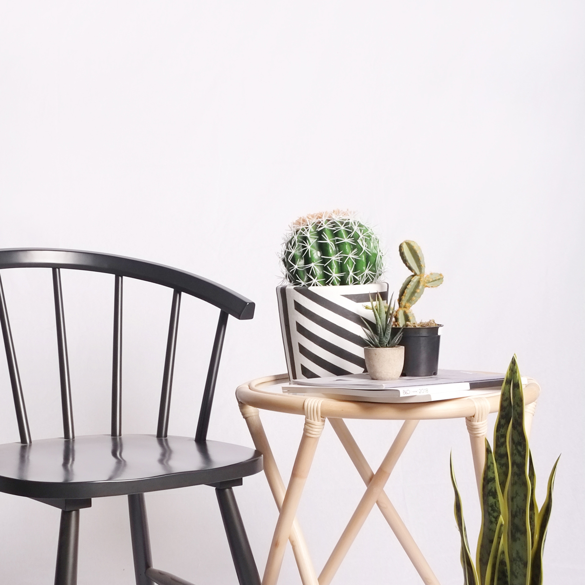 Maintaining your faux plants'