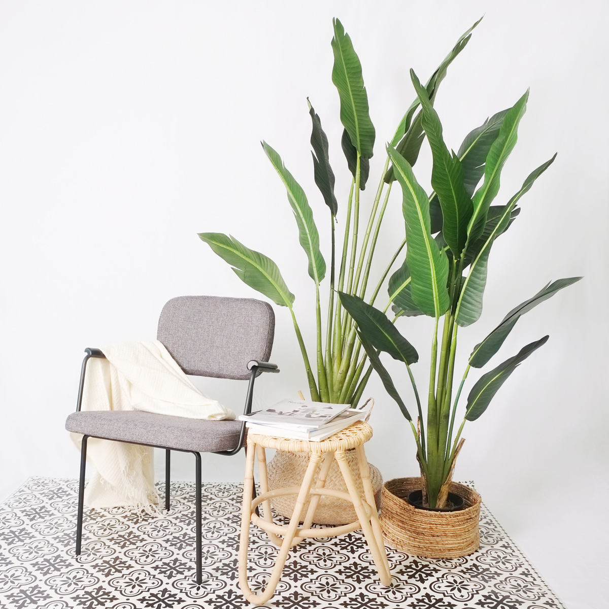 Right Place For Your Plants